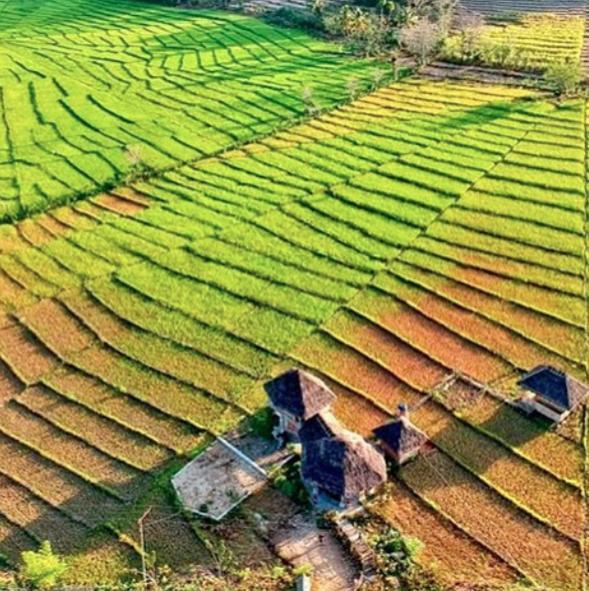 Tado Homestay Limbung ภายนอก รูปภาพ